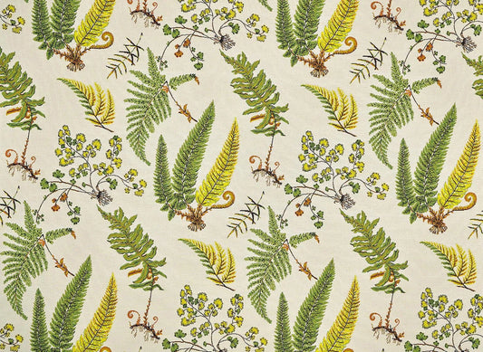 Botanique Fabric by Pierre Frey in Printemps (F3886001)