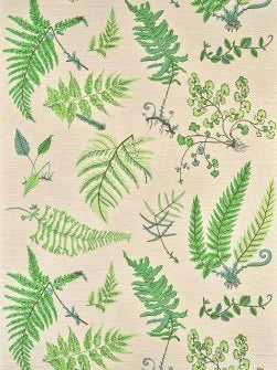 Botanique Wallpaper by Pierre Frey in Printemps (FP084002)