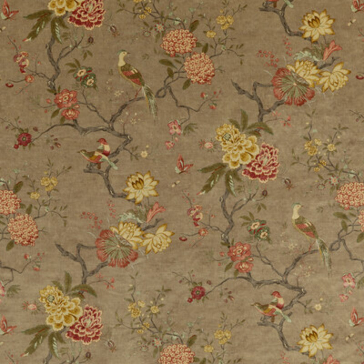 Oriental Bird Velvet Fabric by G P & J Baker in Mole