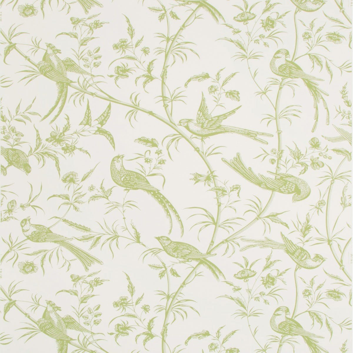 Bengali Wallpaper by Brunschwig & Fils in Leaf