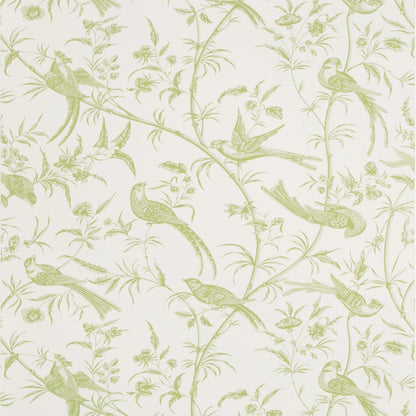 Bengali Wallpaper by Brunschwig & Fils in Leaf