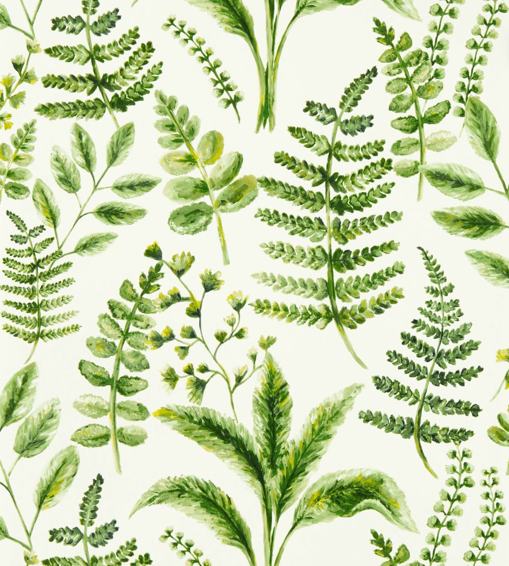 Bracken Wallpaper by Clarke & Clarke Forest