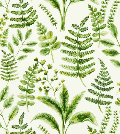 Bracken Wallpaper by Clarke & Clarke Forest