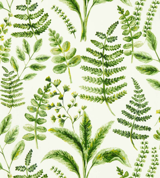 Bracken Wallpaper by Clarke & Clarke Forest