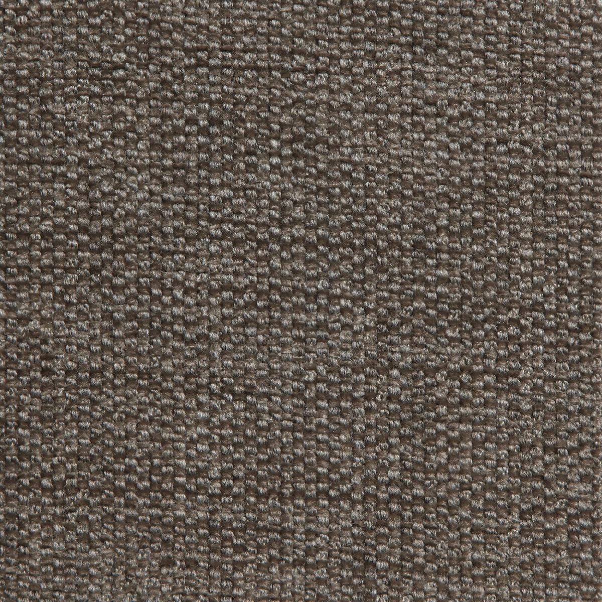 Brio Fabric by Coraggio in Platinum (U20213)
