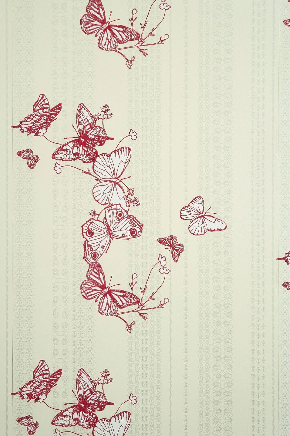 Bugs & Butterflies Wallpaper by Barneby Gates