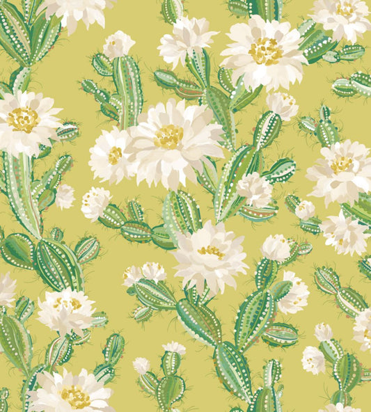 Cactus Bloom Wallpaper by Ohpopsi Chartreuse