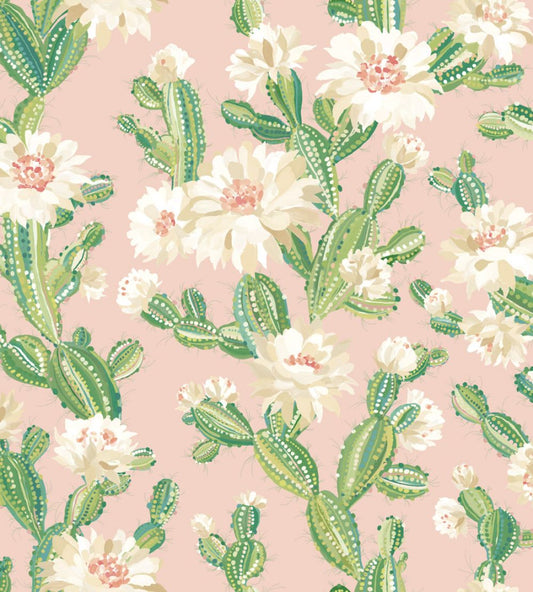 Cactus Bloom Wallpaper by Ohpopsi Coco Blush