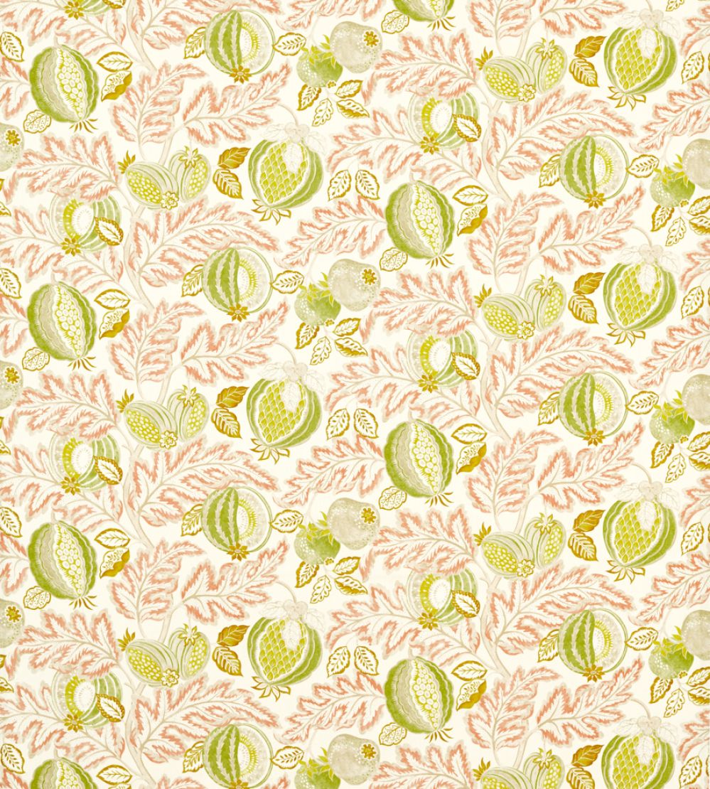 Cantaloupe Outdoor Fabric by Sanderson Matcha/Conch