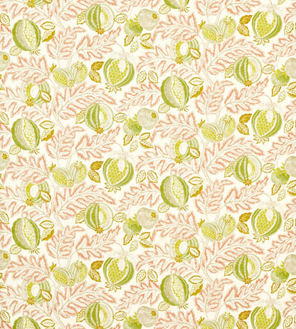 Cantaloupe Outdoor Fabric by Sanderson Matcha/Conch