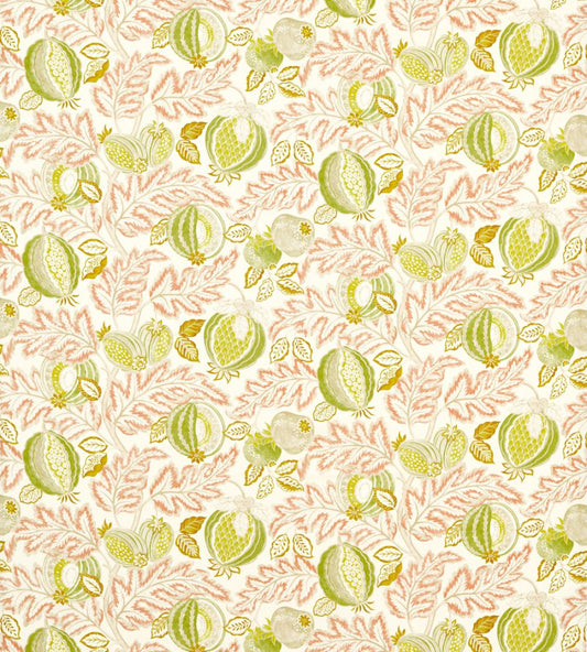 Cantaloupe Outdoor Fabric by Sanderson Matcha/Conch