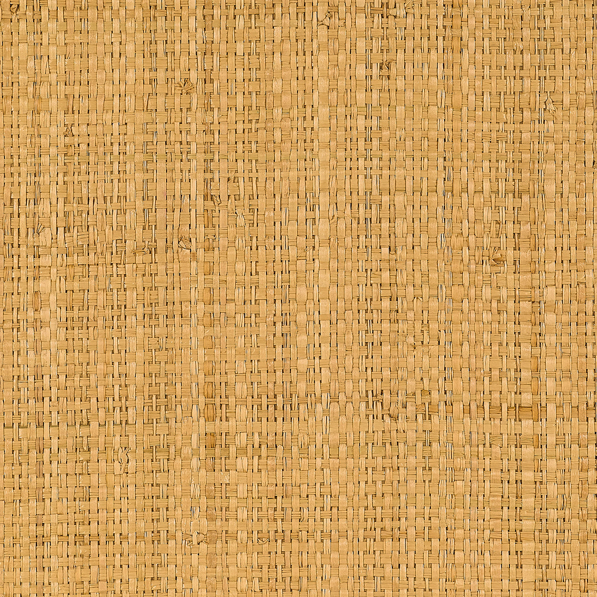 Capri Raffia Wallpaper by Phillip Jeffries in Golden Shoreline (PJ 31400)