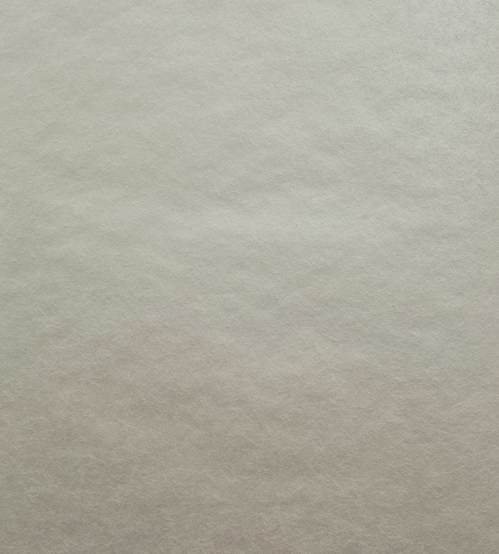 Carla Wallpaper by 1838 Wallcoverings Natural