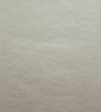 Carla Wallpaper by 1838 Wallcoverings Natural