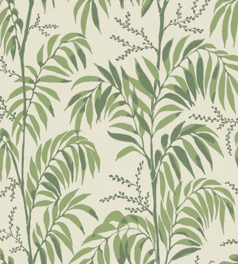 Casablanca Afternoon Wallpaper by Langelid Von Bromssen Palm Green