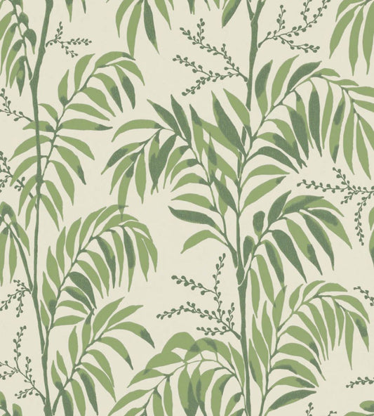 Casablanca Afternoon Wallpaper by Langelid Von Bromssen Palm Green