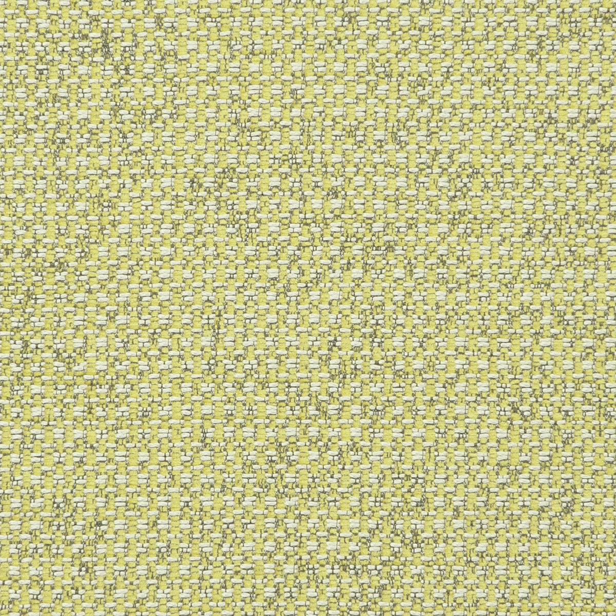 Casanova Acacia fabric by Clarke & Clarke