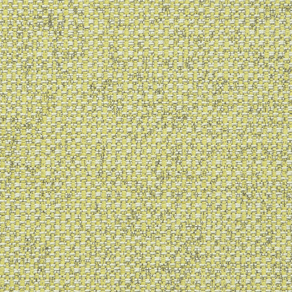 Casanova Acacia fabric by Clarke & Clarke