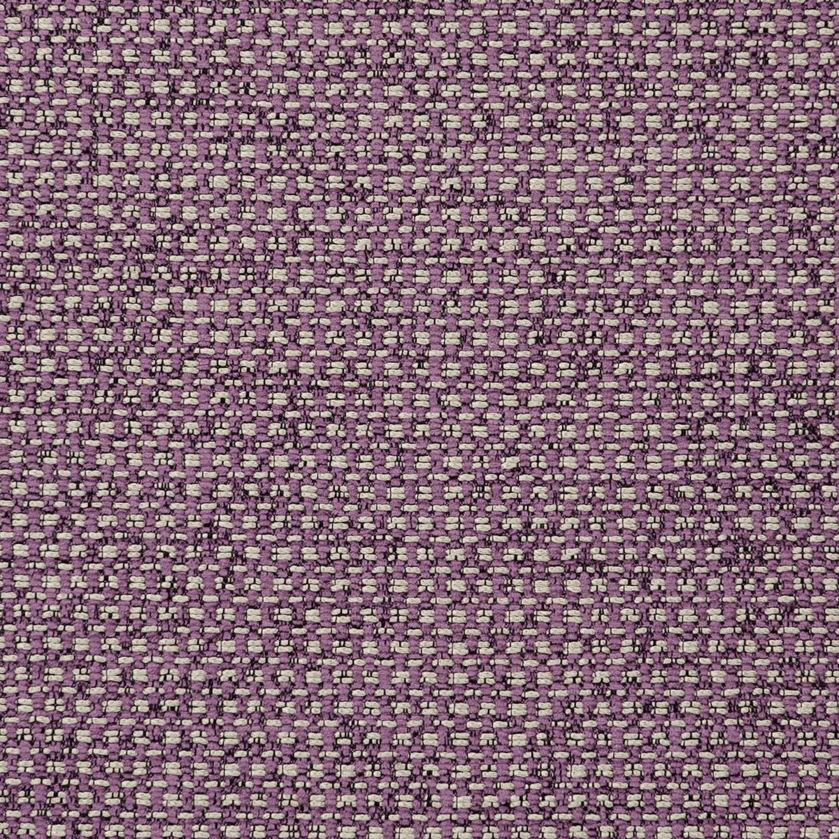 Casanova Orchid fabric by Clarke & Clarke
