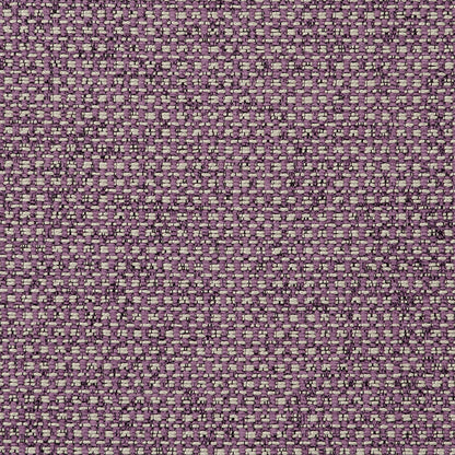 Casanova Orchid fabric by Clarke & Clarke