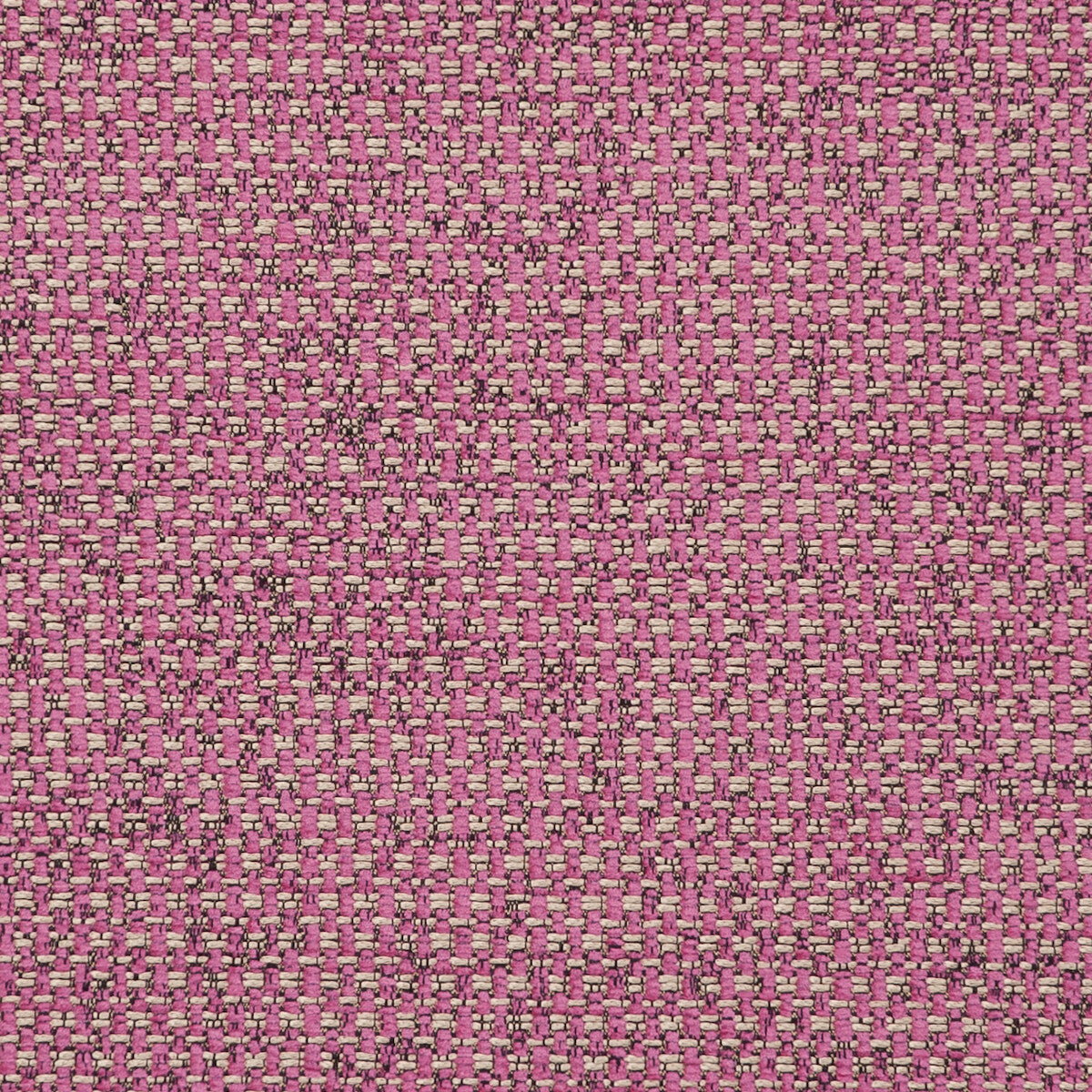 Casanova Sorbet fabric by Clarke & Clarke