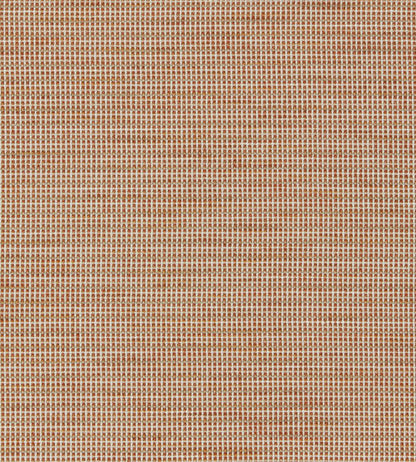Cassia Fabric by Harlequin Clementine/Rhubarb/Rust