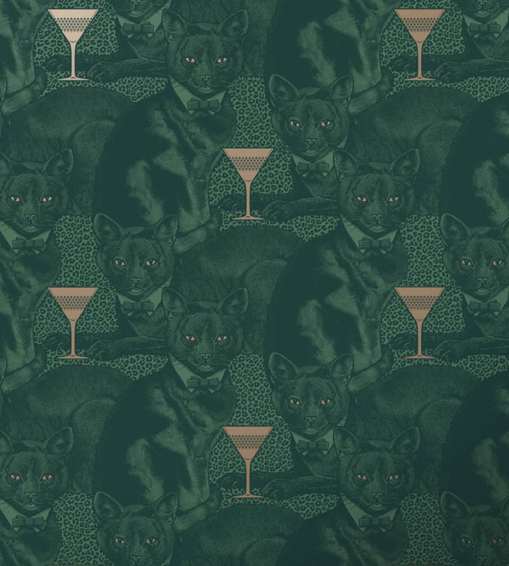 Cat-titude Wallpaper by Divine Savages Green Envy