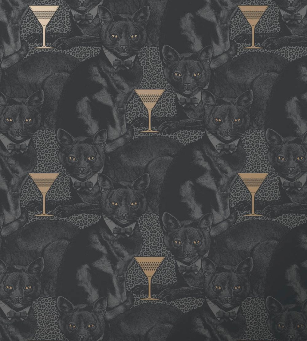 Cat-titude Wallpaper by Divine Savages Savage Shade