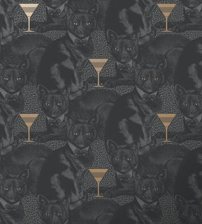 Cat-titude Wallpaper by Divine Savages Savage Shade