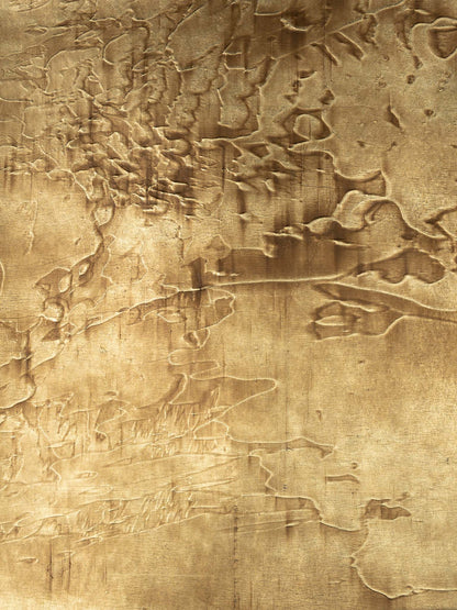 Rustic Metallic Wallpaper by Holland & Sherry in Vintage Gold Rush