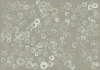 Cellular Patterns mural by Coordonné in Quartz, flat pattern view