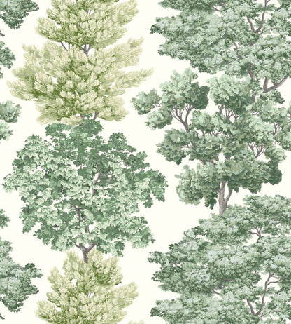 Central Park Wallpaper by Scalamandre Green