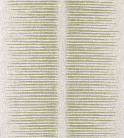 Chaco Wallpaper by Harlequin Olivine