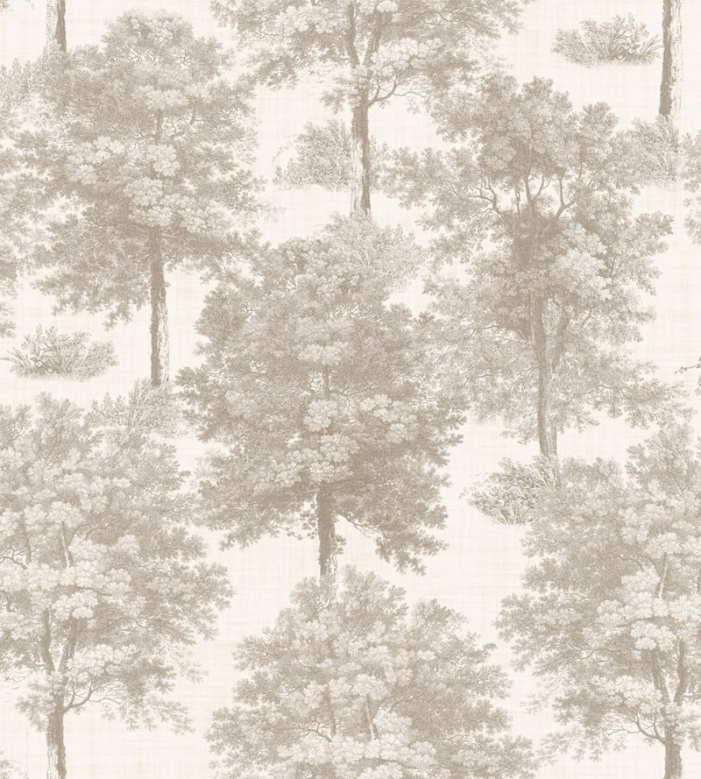 Chestnut Tree Wallpaper by Coordonne Ecru