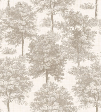 Chestnut Tree Wallpaper by Coordonne Ecru