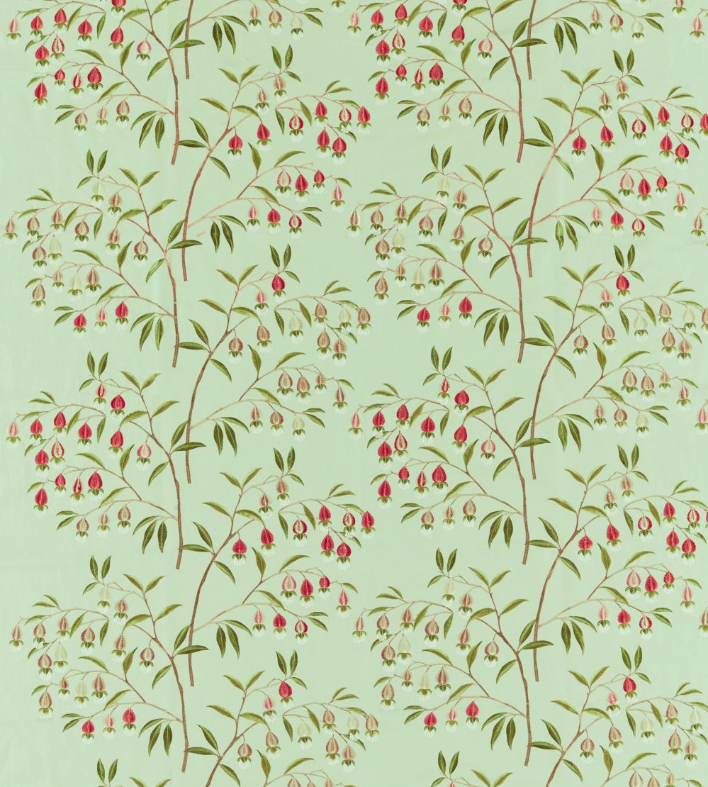 Chinese Lantern Fabric by Sanderson Mint & Apricot
