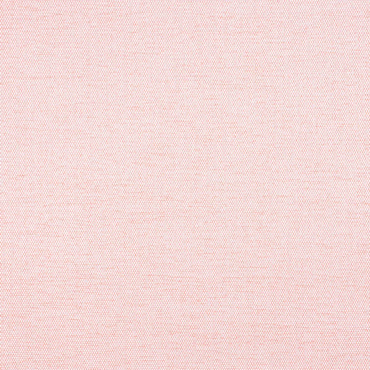 Clara Fabric by Thibaut in Seashell (W8594)
