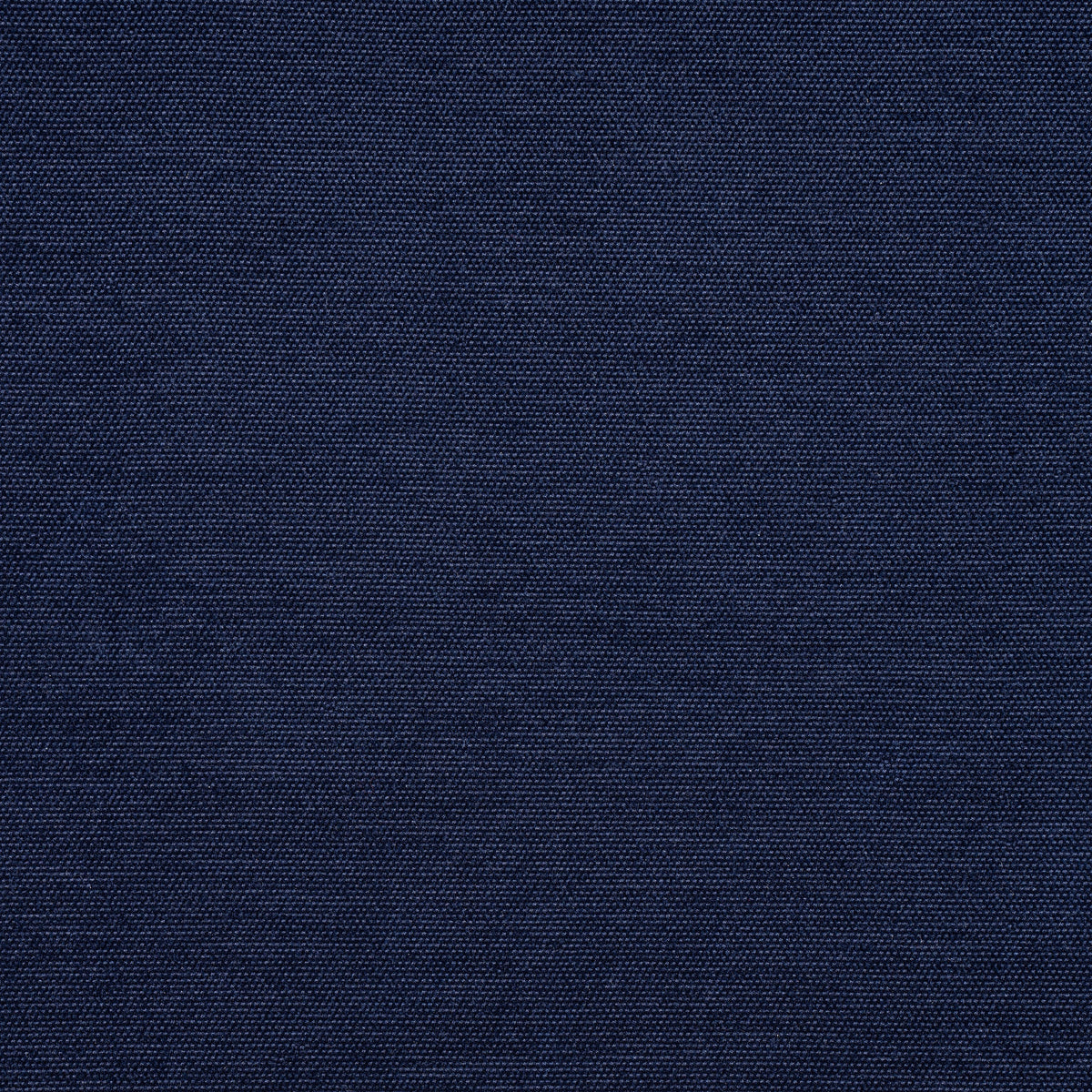 Clara Fabric by Thibaut in Navy (W8602)