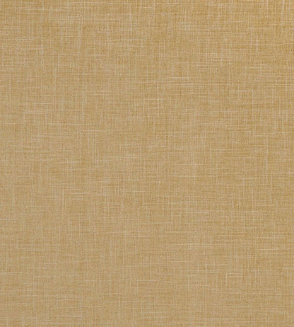 Albany Fabric by Clarke & Clarke Antique