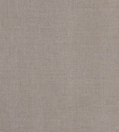 Albany Fabric by Clarke & Clarke Mink