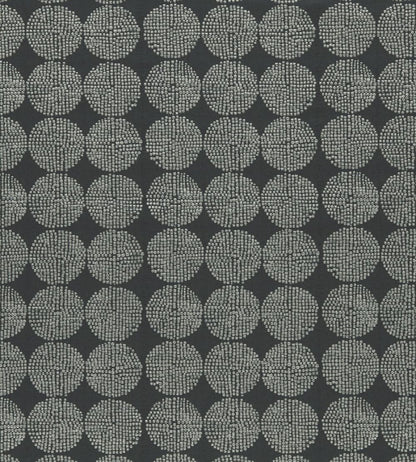 Kiko Fabric by Clarke & Clarke Charcoal