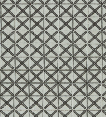 Makenzi Fabric by Clarke & Clarke Charcoal