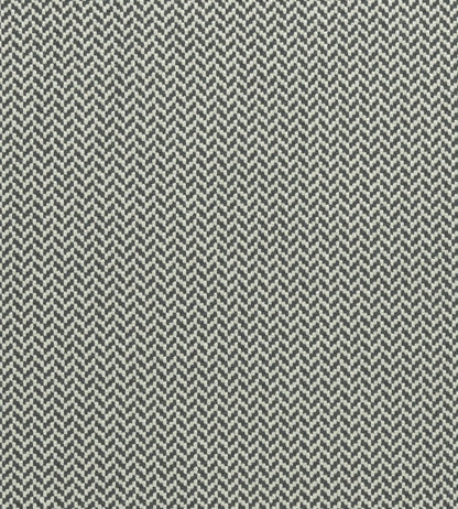 Zalika Fabric by Clarke & Clarke Charcoal