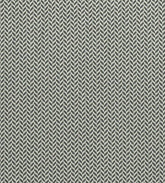 Zalika Fabric by Clarke & Clarke Charcoal