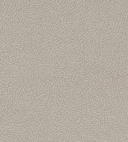 Mason Fabric by Clarke & Clarke Ivory