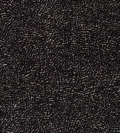 Mason Fabric by Clarke & Clarke Noir