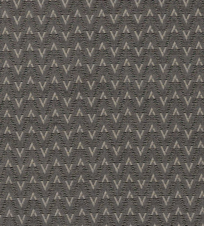 Zion Fabric by Clarke & Clarke Charcoal