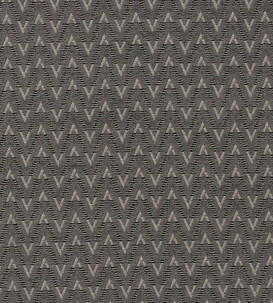 Zion Fabric by Clarke & Clarke Charcoal
