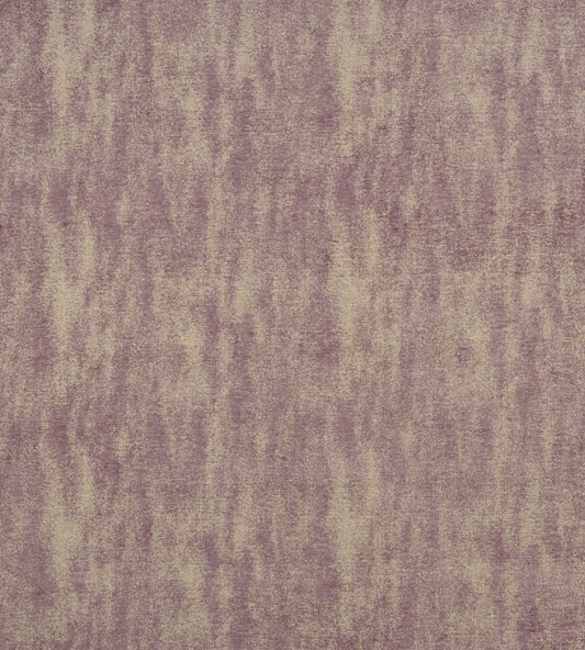 Baker Fabric by Clarke & Clarke Heather
