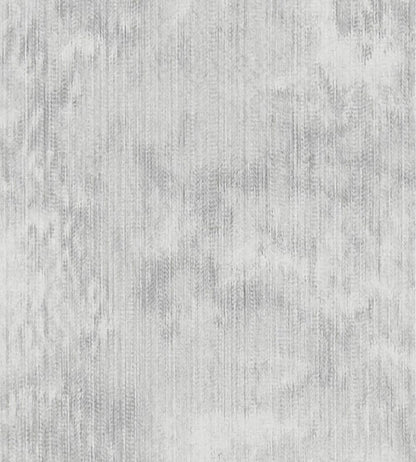 Haze Fabric by Clarke & Clarke Silver